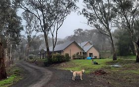 Frogmouth Hollow